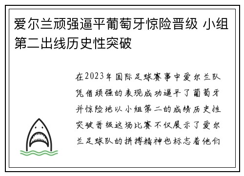 爱尔兰顽强逼平葡萄牙惊险晋级 小组第二出线历史性突破